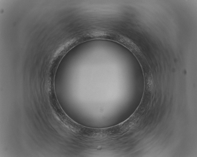 X0000074240732200609081645