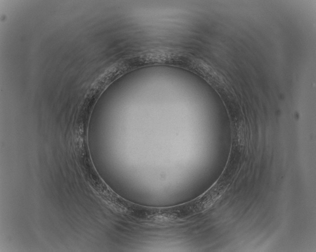 X0000074240737200609081645
