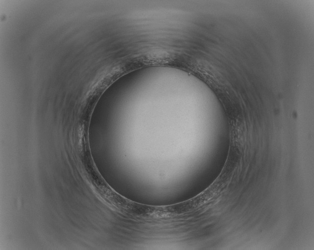 X0000074240742200609081645
