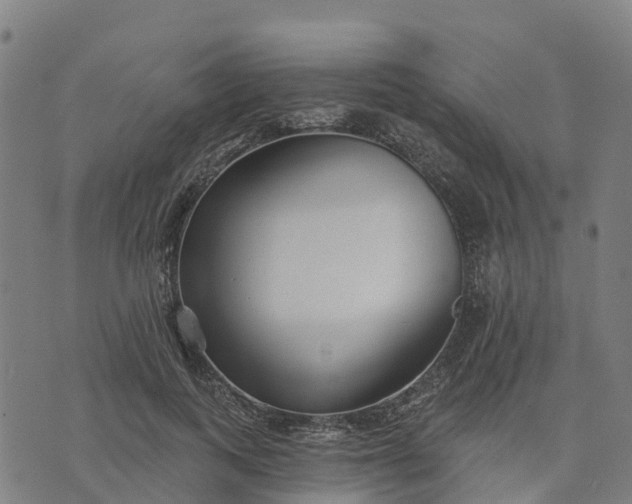 X0000074240743200609081645