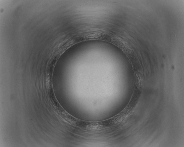 X0000074240745200609081645