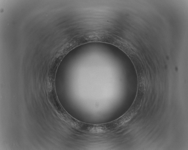 X0000074240751200609081646