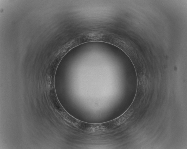 X0000074240752200609081646