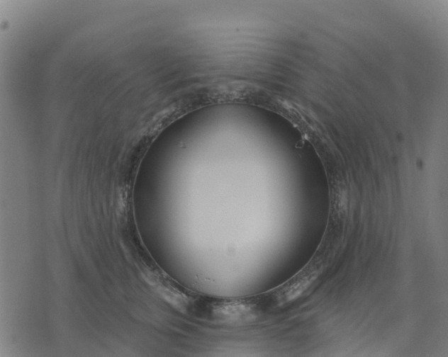X0000074240759200609081646