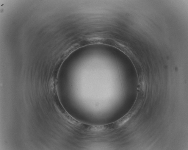 X0000074240767200609081646