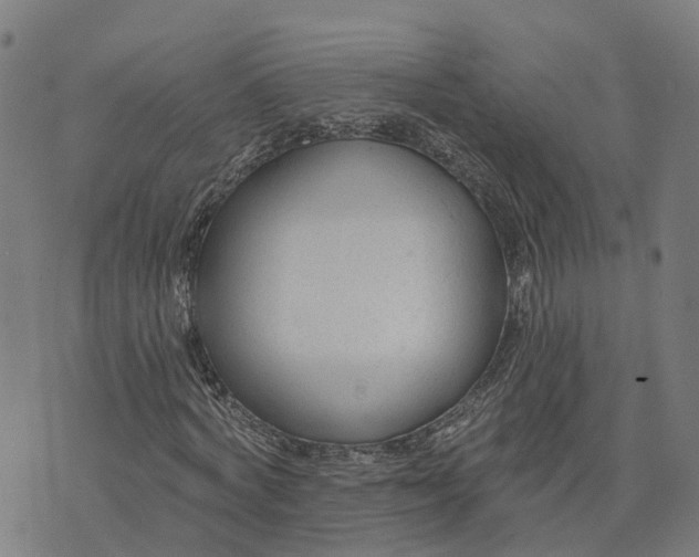 X0000074240772200609081645