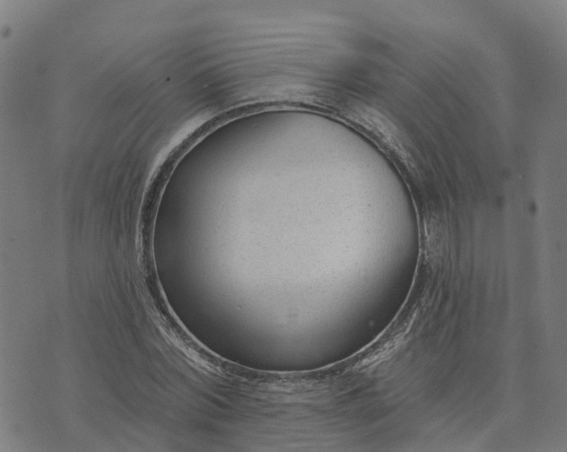 X0000074240780200609081645