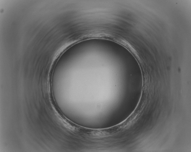 X0000074240795200609081645
