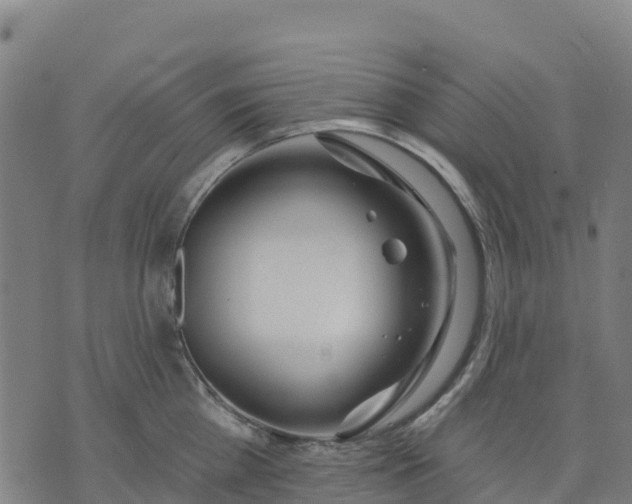 X0000074240809200609081644