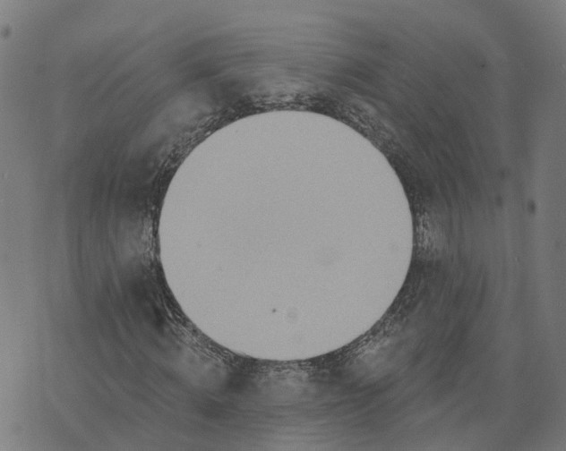 X0000074240820200609081644