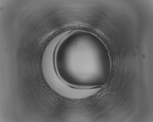 X0000074240822200609081644