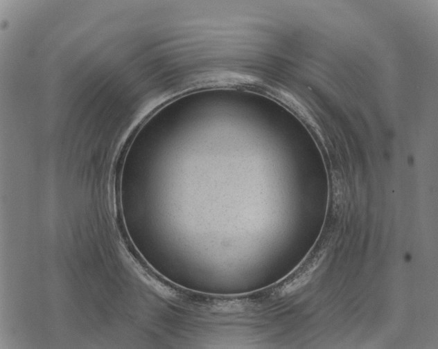 X0000074240843200609081644