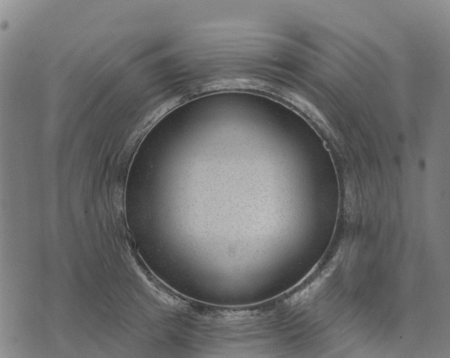 X0000074240849200609081644