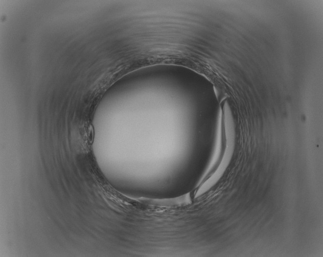 X0000074240868200609081643