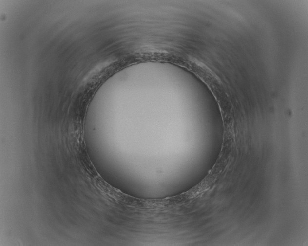 X0000074240870200609081643