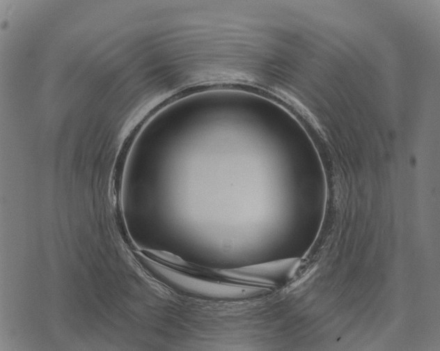 X0000074240885200609081643