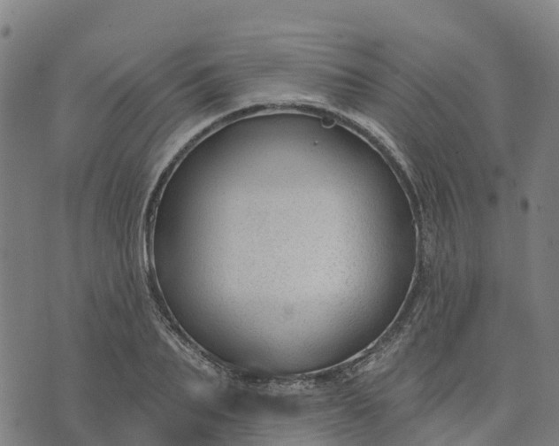 X0000074240887200609081643