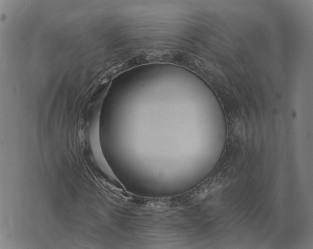 X0000074240914200609081642