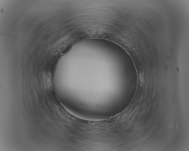 X0000074240963200609081642