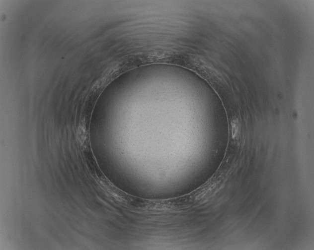 X0000074241011200609081640