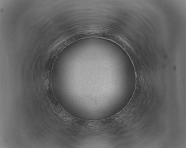 X0000074241015200609081641