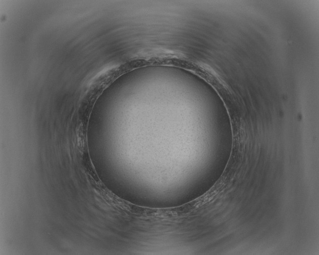X0000074241063200609081640