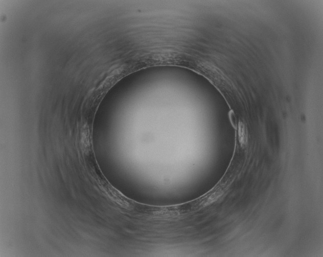 X0000074241107200609081639