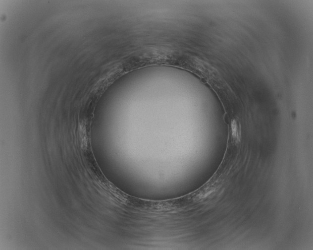X0000074241203200609081637