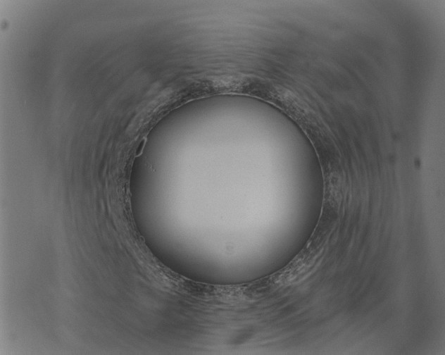 X0000074241249200609081637