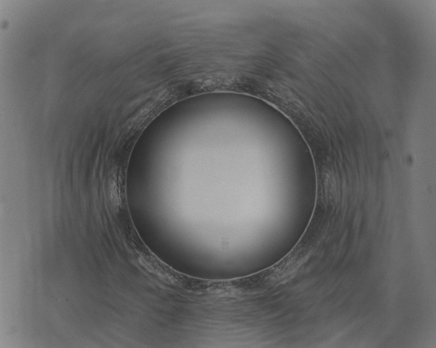 X0000074241250200609081637