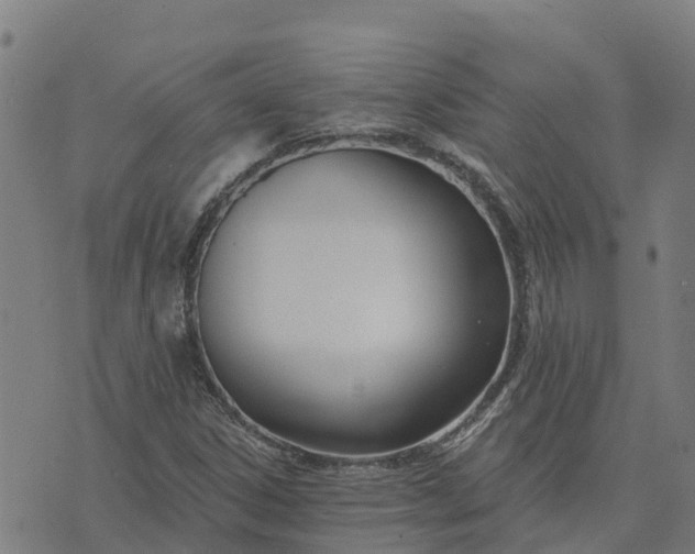 X0000074241306200609081636