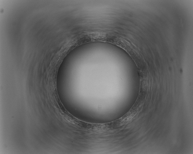 X0000074241345200609081636