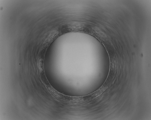 X0000074241346200609081636