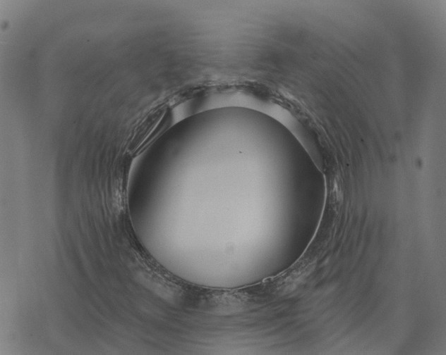 X0000074241348200609081636