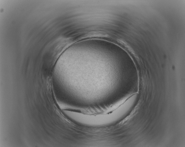 X0000074241369200609081635