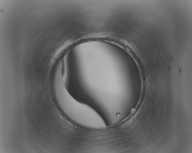 X0000074241406200609081634