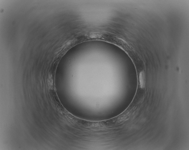 X0000074241443200609081634