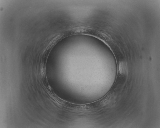 X0000074241444200609081634