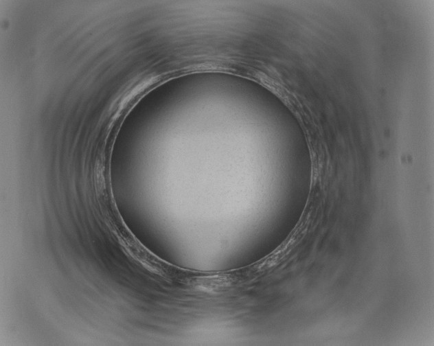 X0000074240050200609151721