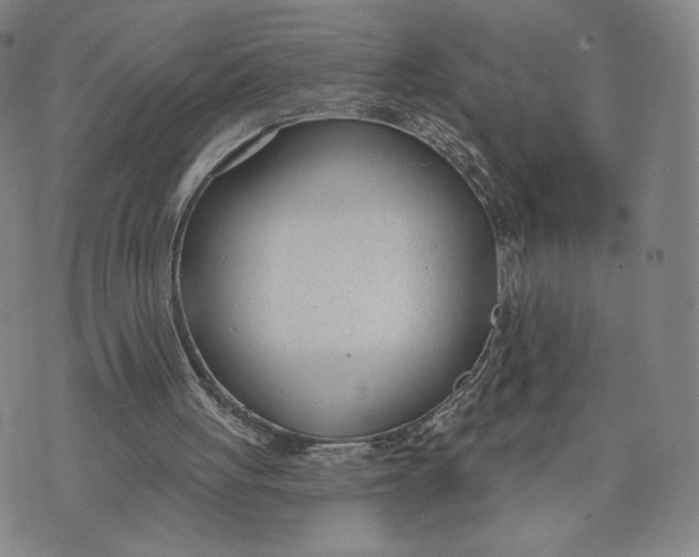 X0000074240051200609151721