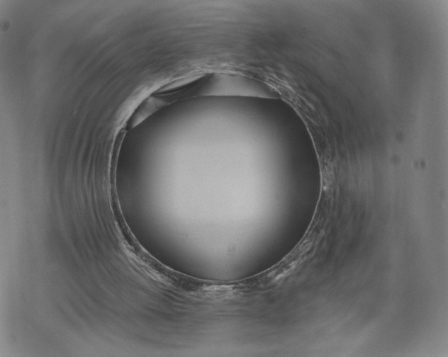 X0000074240052200609151721