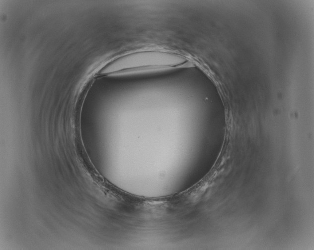 X0000074240055200609151721