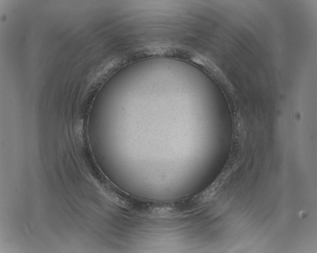 X0000074240066200609151722