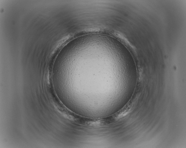 X0000074240068200609151722