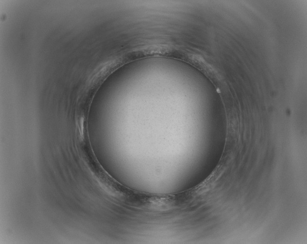 X0000074240070200609151722