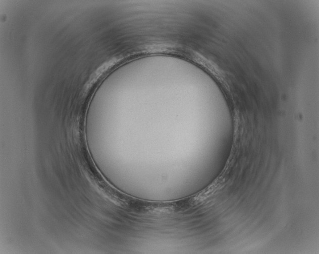 X0000074240155200609151720