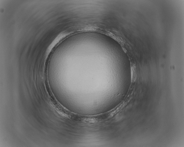 X0000074240195200609151720