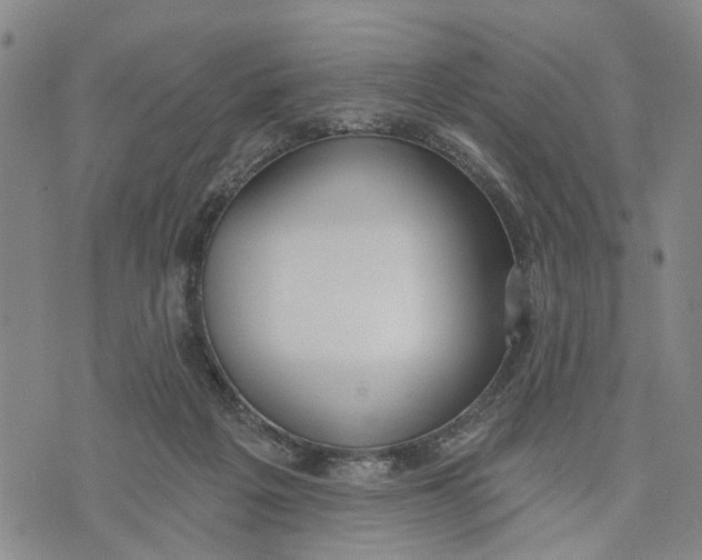 X0000074240217200609151719