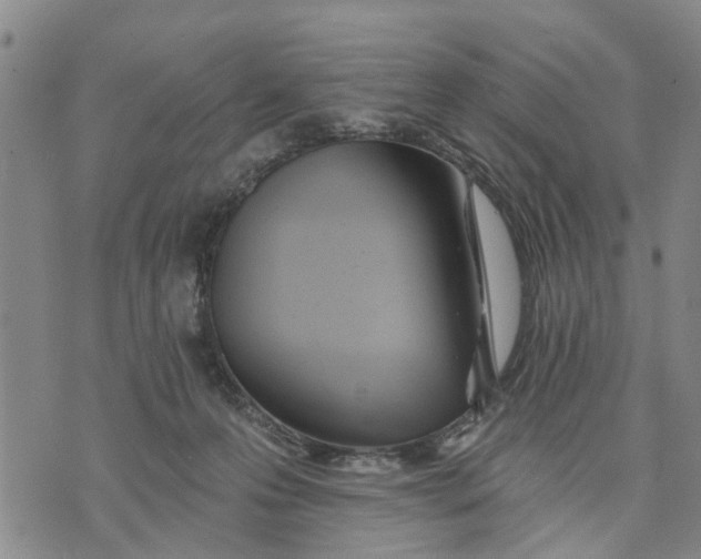X0000074240223200609151719