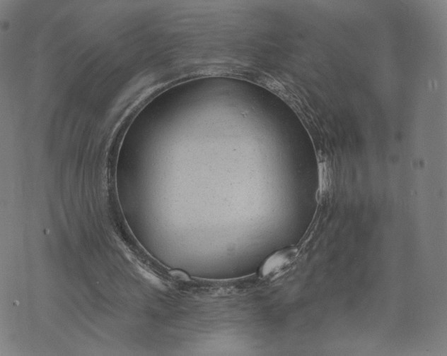X0000074240243200609151718